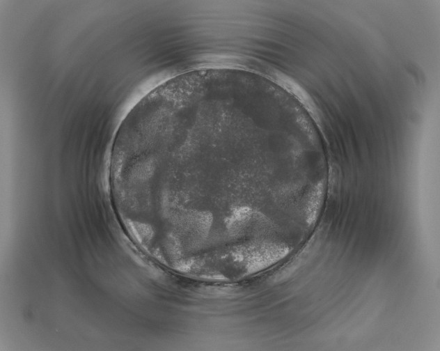 X0000112881386200909111434