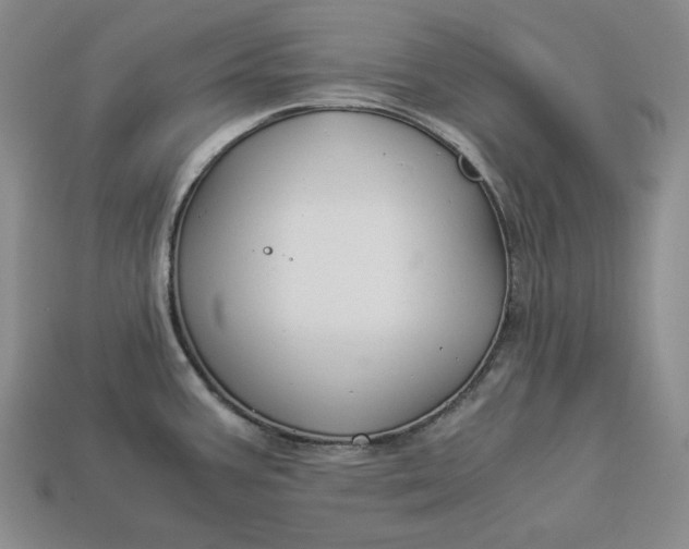 X0000112881387200909111434