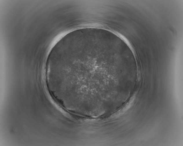 X0000112881389200909111434