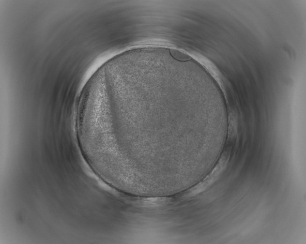 X0000112881390200909111434