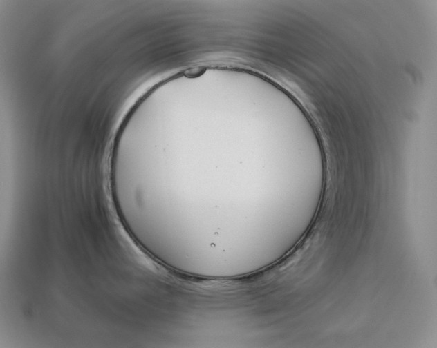 X0000112881392200909111434