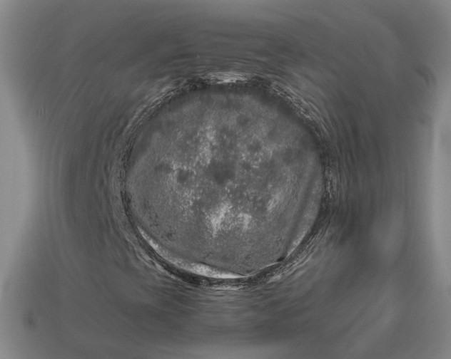 X0000112881393200909111433