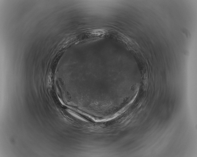 X0000112881394200909111433