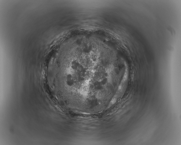 X0000112881397200909111433