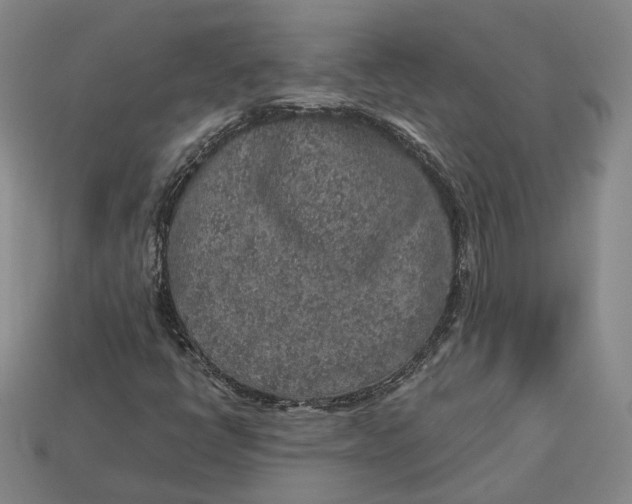 X0000112881398200909111433