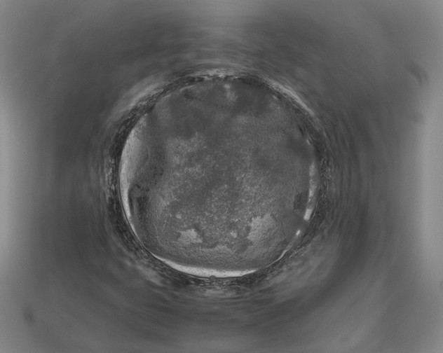 X0000112881399200909111433