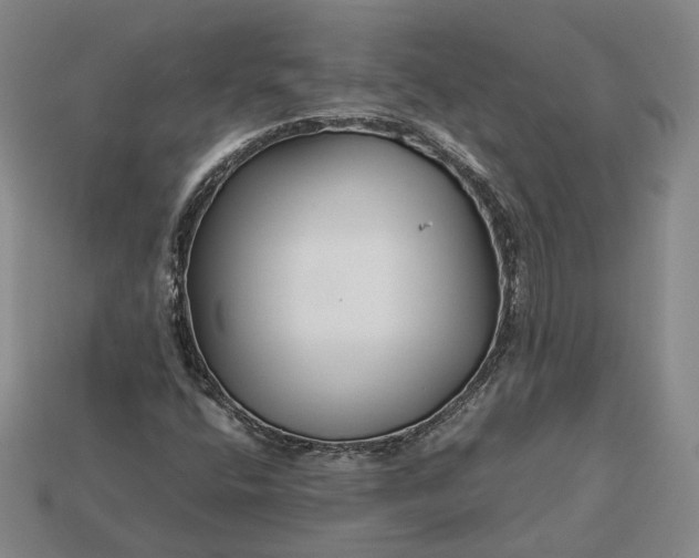 X0000112881400200909111433