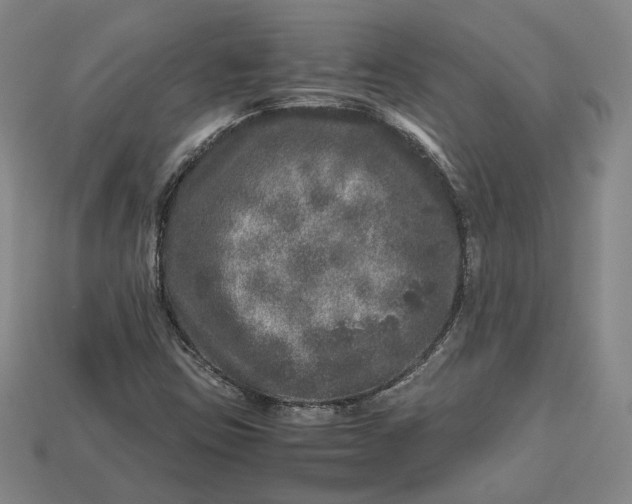 X0000112881403200909111433