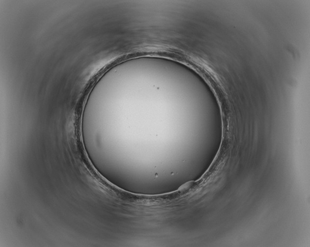 X0000112881404200909111433