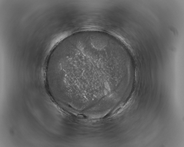 X0000112881405200909111433