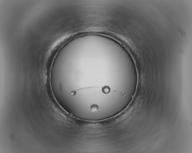 X0000112881406200909111433