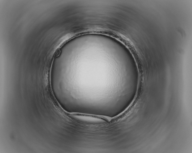 X0000112881409200909111433