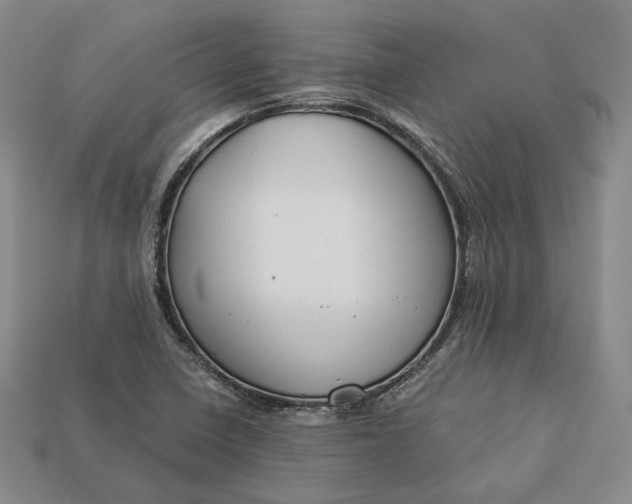 X0000112881410200909111433