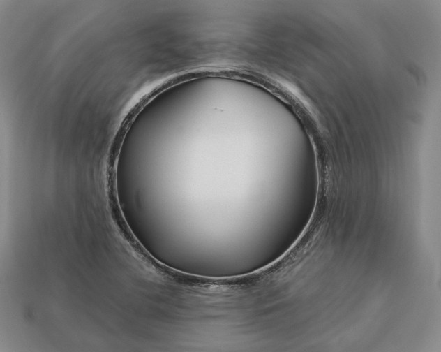 X0000112881412200909111433