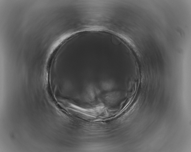 X0000112881414200909111434