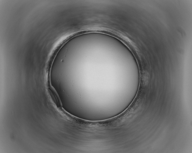 X0000112881416200909111434