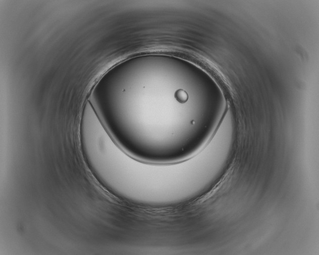 X0000112881417200909111434