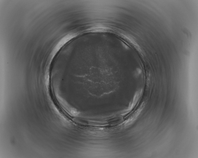 X0000112881418200909111434