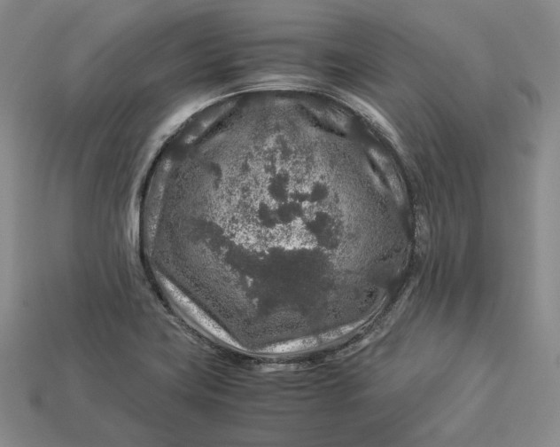 X0000112881419200909111434