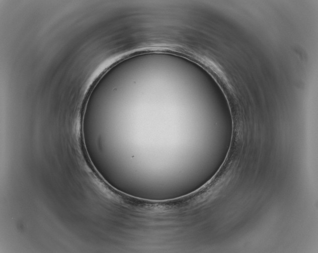 X0000112881420200909111434