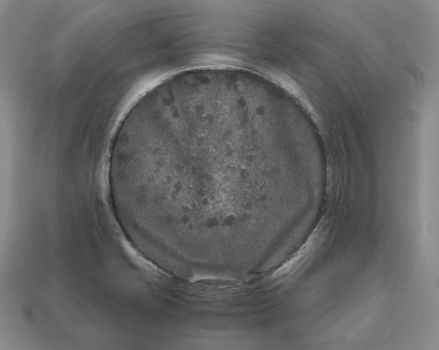 X0000112881421200909111434