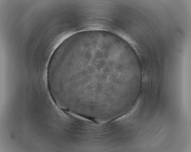 X0000112881423200909111434