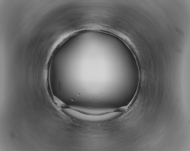 X0000112881424200909111434