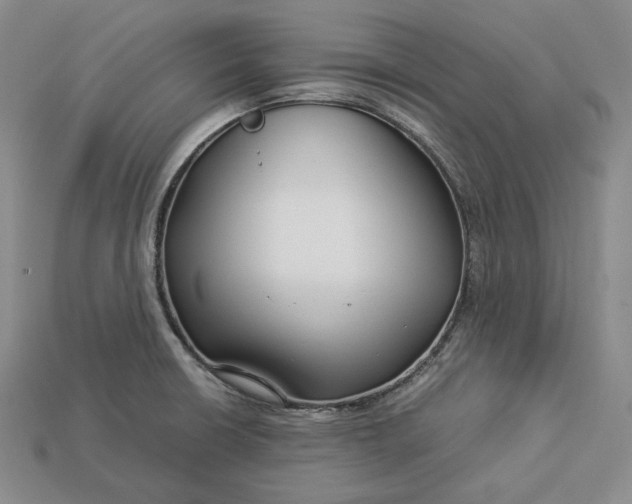 X0000112881426200909111434