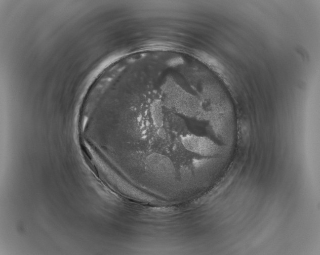 X0000112881427200909111434