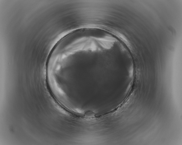 X0000112881428200909111434