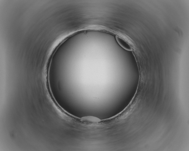 X0000112881430200909111434