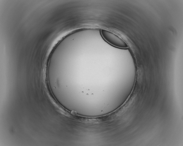 X0000112881432200909111434