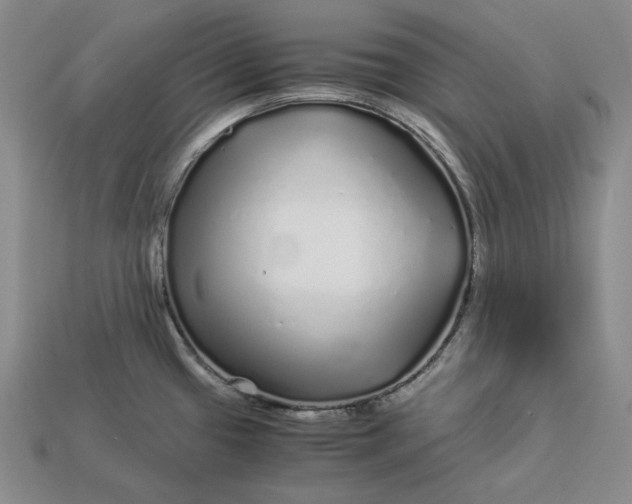 X0000112881433200909111434