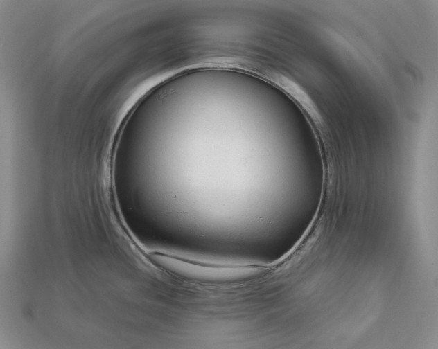 X0000112881436200909111434