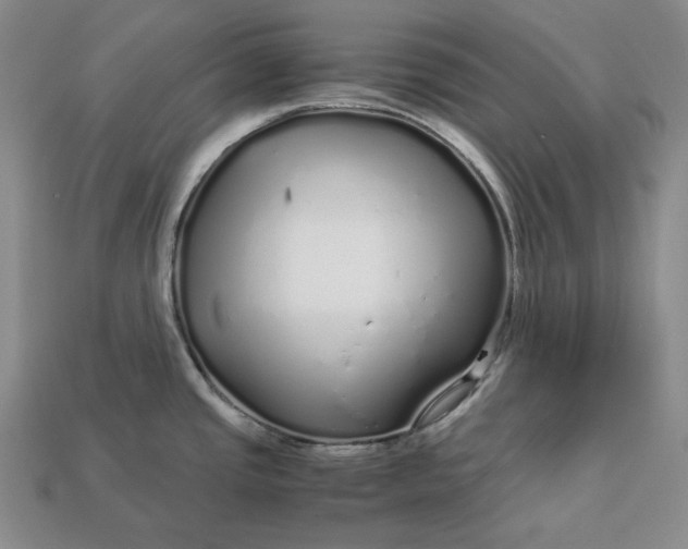 X0000112881437200909111434