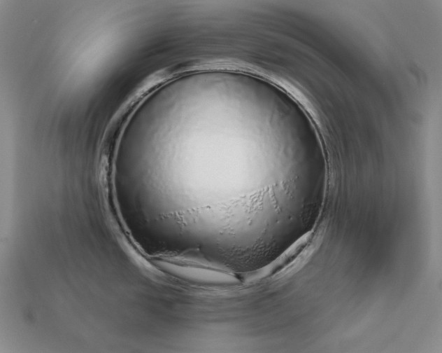 X0000112881438200909111434