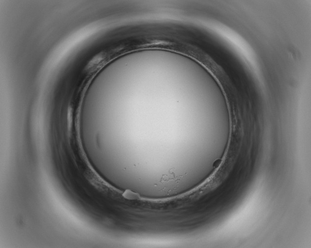 X0000112881439200909111434