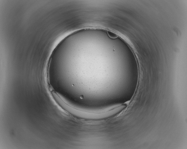 X0000112881440200909111434