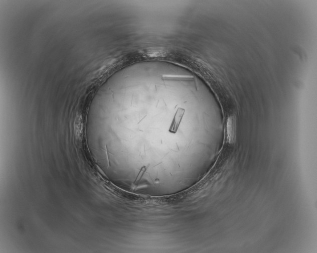 X0000112881443200909111433