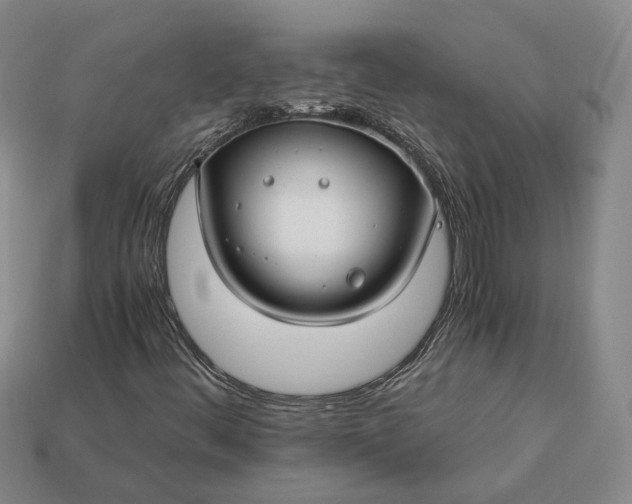 X0000112881444200909111433