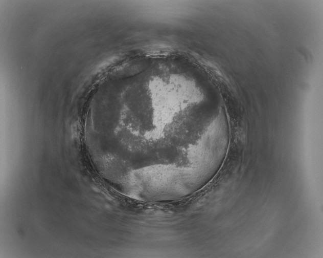 X0000112881445200909111433