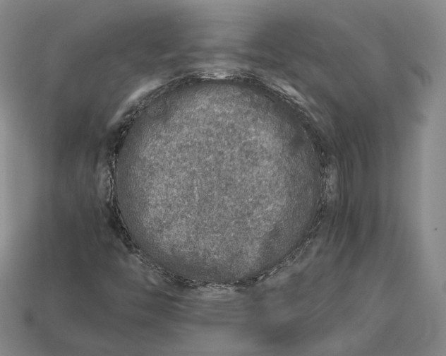 X0000112881446200909111433