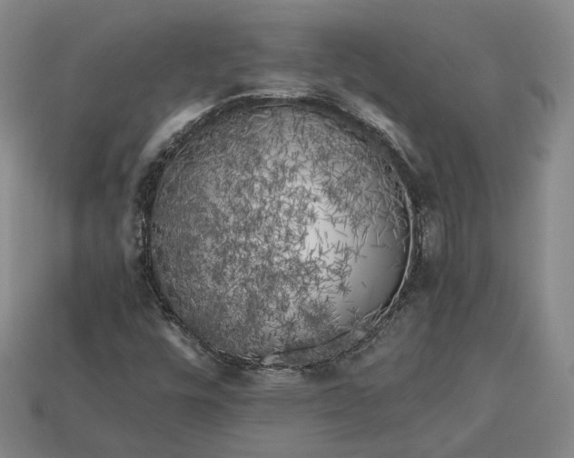 X0000112881448200909111433