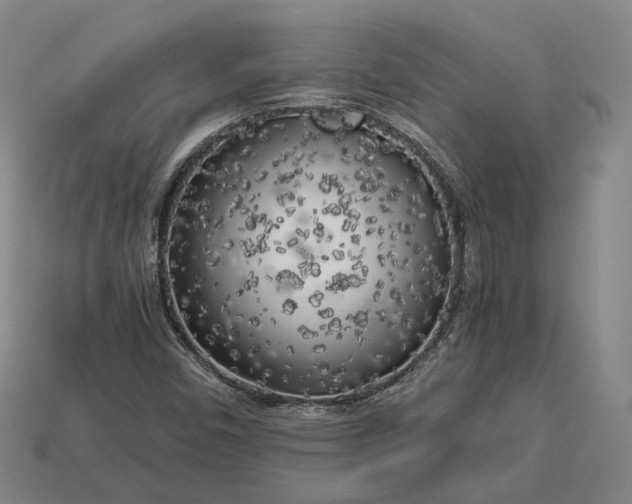 X0000112881450200909111433