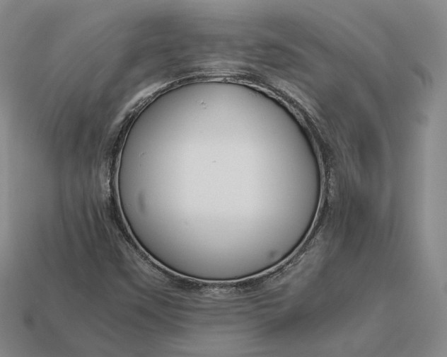 X0000112881451200909111433