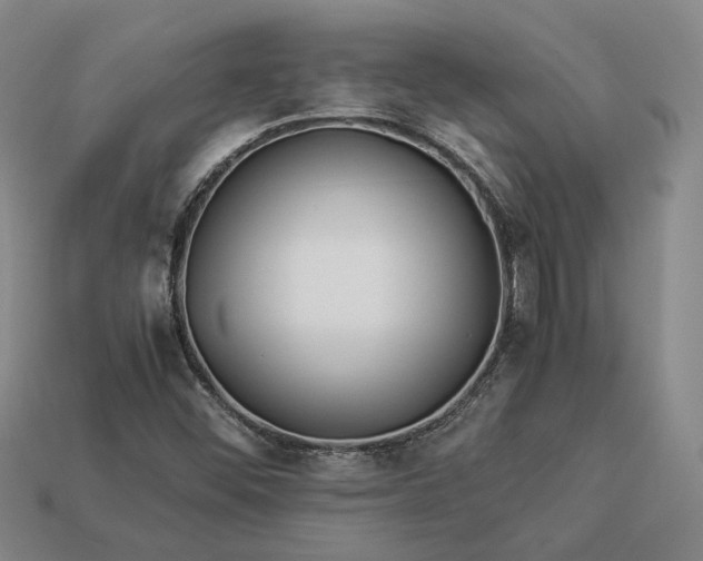 X0000112881452200909111433