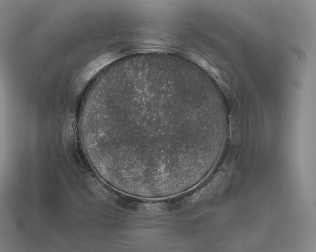 X0000112881453200909111433