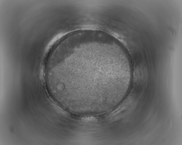 X0000112881454200909111433