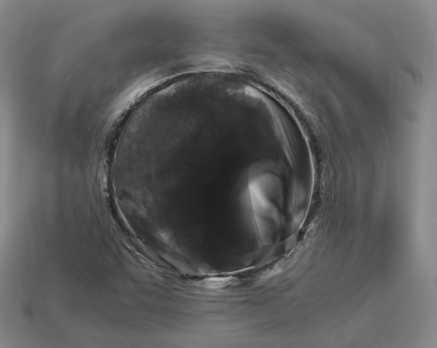 X0000112881455200909111433