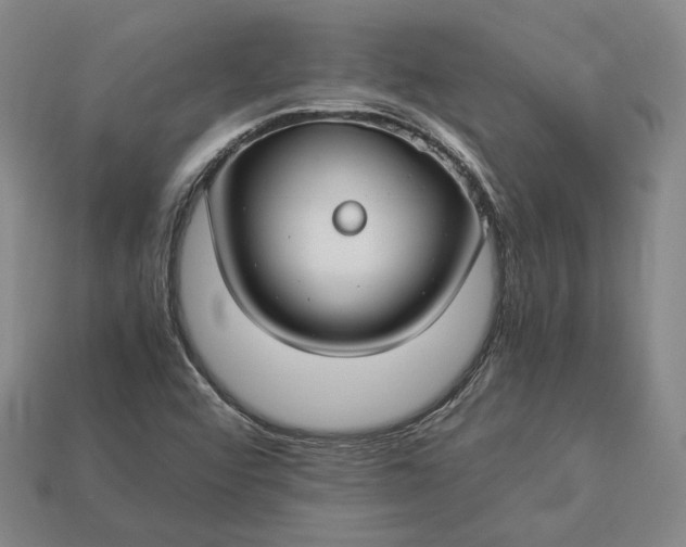 X0000112881456200909111433